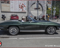 TSR Watermark - 0600
